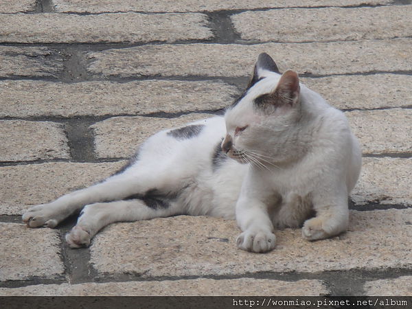 淡水緣道觀音廟(Yuandao Kuan-Yin Temple)：【新北市淡水】 ★★ 緣道觀音廟 ★★