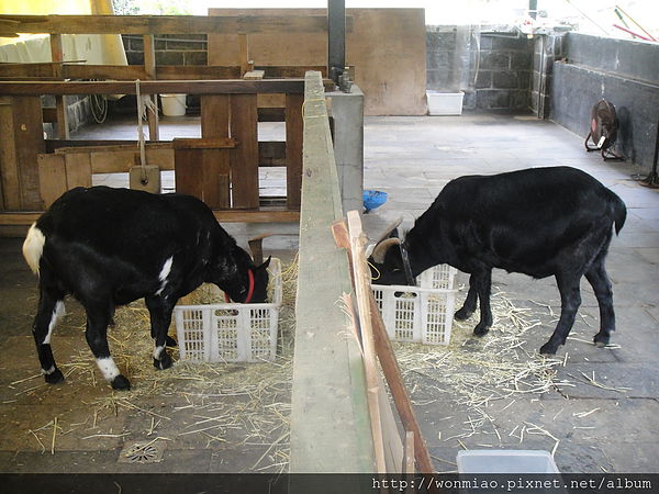 淡水緣道觀音廟(Yuandao Kuan-Yin Temple)：【新北市淡水】 ★★ 緣道觀音廟 ★★