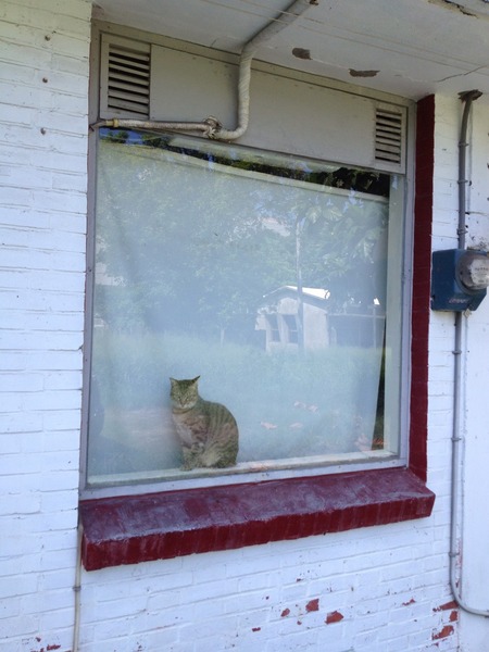 胡弄背包休息站：[台東] 來胡弄Hostel度假吧!!!