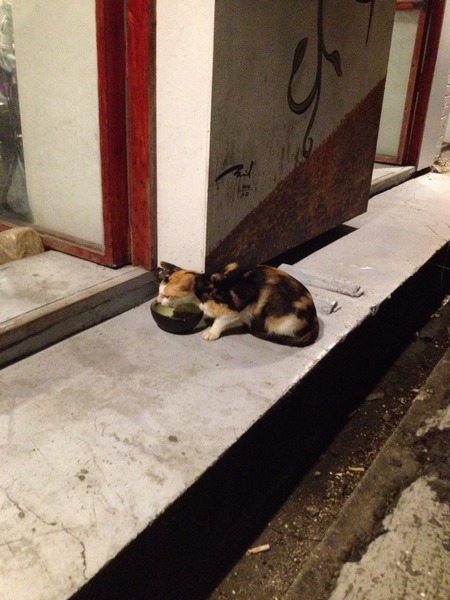 胡弄背包休息站：[台東] 來胡弄Hostel度假吧!!!