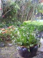 日月潭富豪群渡假民宿:巧心布置的日月潭富豪群