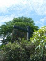 日月潭富豪群渡假民宿：巧心布置的日月潭富豪群