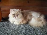 日月潭富豪群渡假民宿：巧心布置的日月潭富豪群