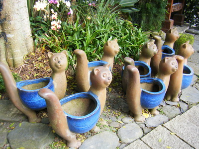 日月潭富豪群渡假民宿:巧心布置的日月潭富豪群