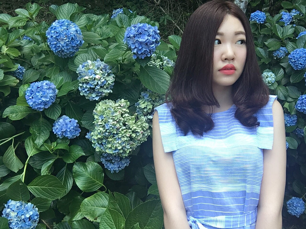 20160625苗栗繡球花_7858