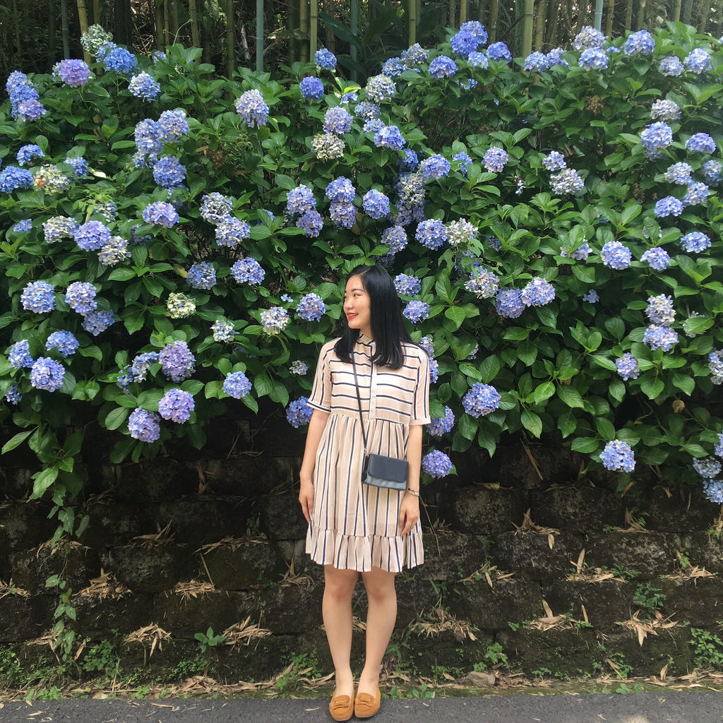 20160625苗栗繡球花_319