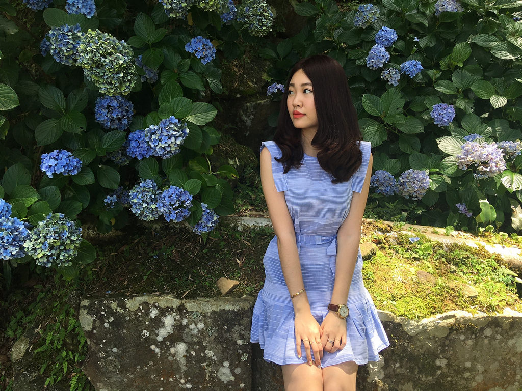 20160625苗栗繡球花_5177