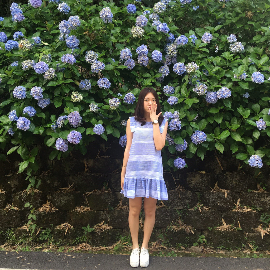 20160625苗栗繡球花_8965