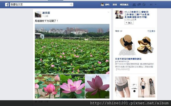 新北市旅遊景點-三芝 石門