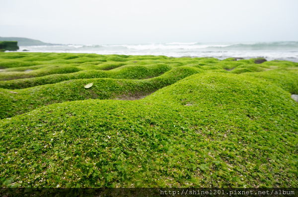 新北市旅遊景點-三芝 石門