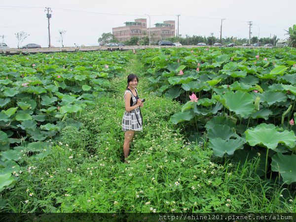 新北市旅遊景點-三芝 石門