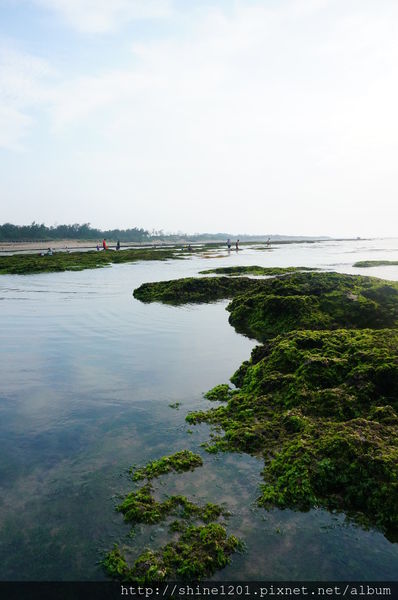 新北市旅遊景點-三芝 石門