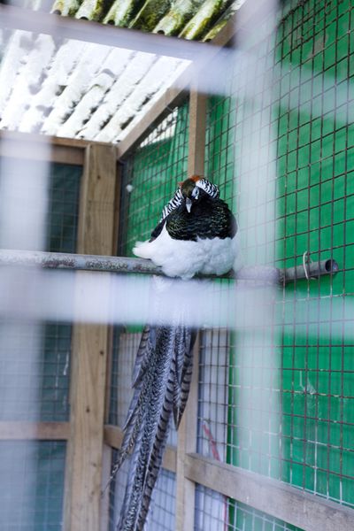 銘記越南美食初訪-5