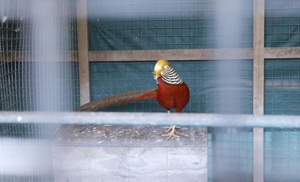 銘記越南美食初訪-2