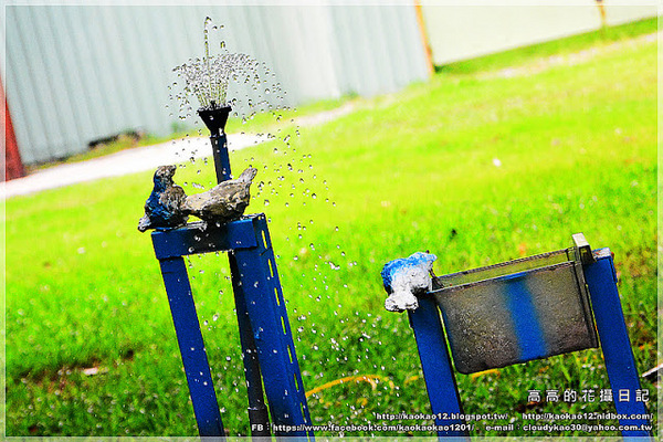 高雄駁二藝術特區：【高雄】鹽埕區。駁二藝術特區《南方噴泉－駁二駐村藝術家闕巧涵戶外裝置展》