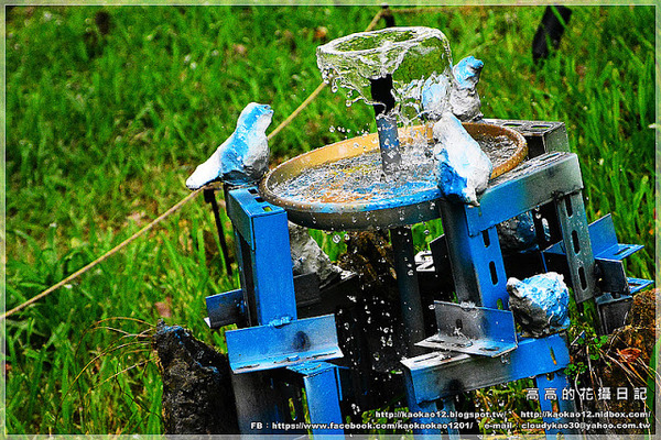 高雄駁二藝術特區：【高雄】鹽埕區。駁二藝術特區《南方噴泉－駁二駐村藝術家闕巧涵戶外裝置展》