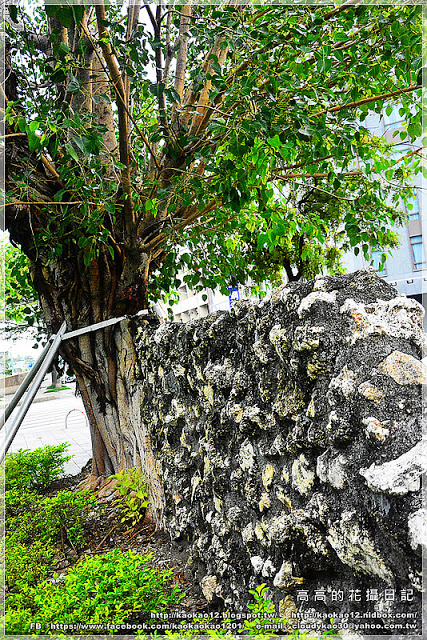 高雄駁二藝術特區：【高雄】鹽埕區。駁二藝術特區《南方噴泉－駁二駐村藝術家闕巧涵戶外裝置展》