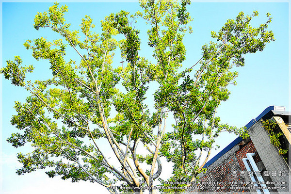 駁二藝術特區：【高雄】鹽埕區。駁二藝術特區《期間限定藍色雨滴》與 大義倉庫區隨拍