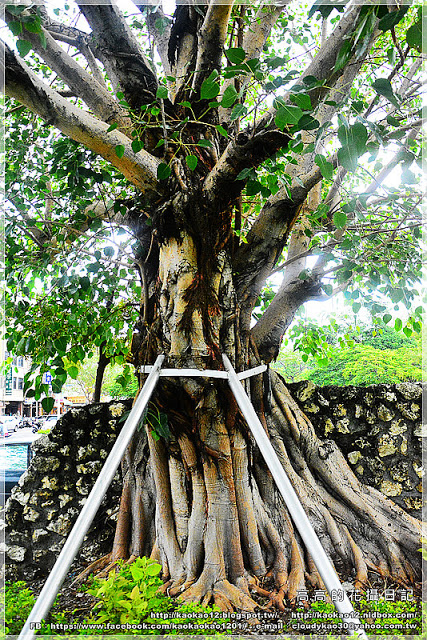 高雄駁二藝術特區：【高雄】鹽埕區。駁二藝術特區《南方噴泉－駁二駐村藝術家闕巧涵戶外裝置展》