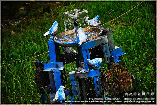 高雄駁二藝術特區：【高雄】鹽埕區。駁二藝術特區《南方噴泉－駁二駐村藝術家闕巧涵戶外裝置展》