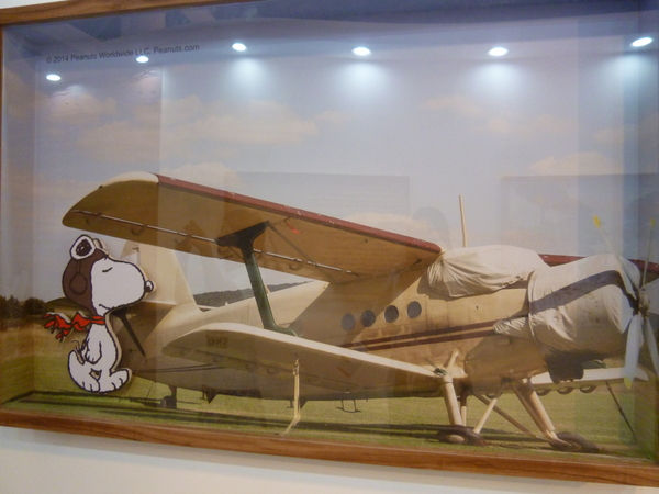 走進花生漫畫: Snoopy 65週年巡迴特展(高雄場)：【口碑場】一起來駁二跟Snoopy玩吧!!－走進花生漫畫: Snoopy 65週年巡迴特展