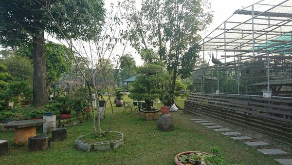 果風巧克力+大同醬油+魚露 觀光_2094