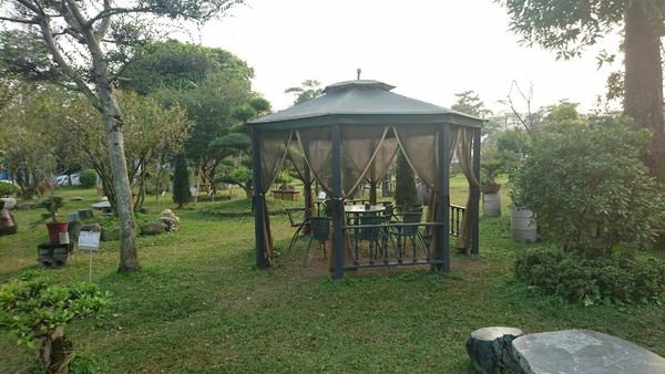 果風巧克力+大同醬油+魚露 觀光_7463