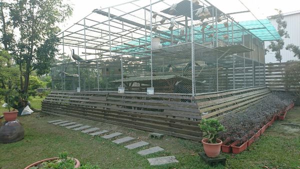 果風巧克力+大同醬油+魚露 觀光_3714