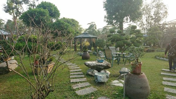 果風巧克力+大同醬油+魚露 觀光_7920