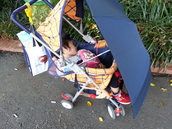 劍湖山世界主題樂園：[雲林][景點]劍湖山世界~刺激的2015兒童節