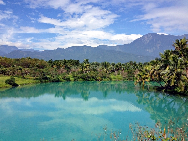 廟口紅茶:【花蓮】廟口紅茶.鋼管紅茶.花蓮市
