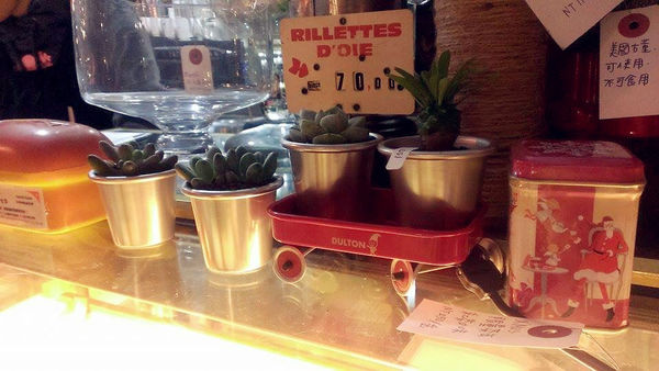 10850600_10152524138626762_2015486811_n_副本