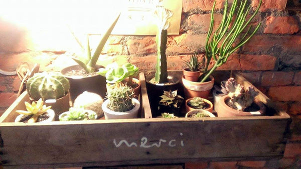 10859805_10152524138826762_2000839802_n_副本