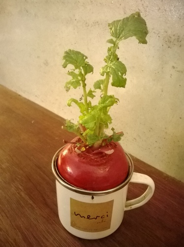 merci café:beaucoup 滿意! Merci Cafe感謝你^^