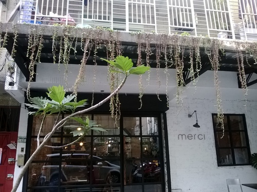 merci café:beaucoup 滿意! Merci Cafe感謝你^^