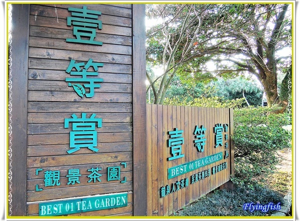 壹等賞景觀茶園:✜ 讓人回味無窮滴特色茶料理餐廳 - 桃園「壹等賞景觀茶園」٩(๑❛ᴗ❛๑)۶