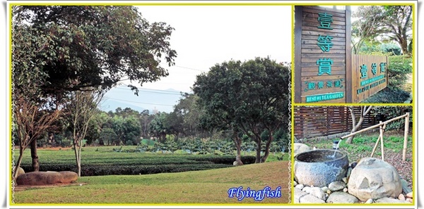 壹等賞景觀茶園:✜ 讓人回味無窮滴特色茶料理餐廳 - 桃園「壹等賞景觀茶園」٩(๑❛ᴗ❛๑)۶