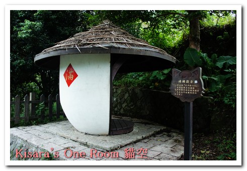 貓空樟樹步道:樟樹歩道賞波斯菊(秋.貓空之旅.二)