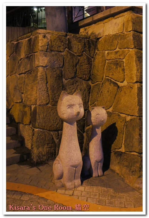 貓空樟樹步道:樟樹歩道賞波斯菊(秋.貓空之旅.二)