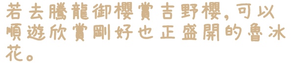 貓空樟樹步道:【台北◍•ᴗ•◍文山】賞花・樟樹步道賞魯冰花2015・3/19花況✯文山木柵貓空魯冰花景點|貓空的茶園開滿花