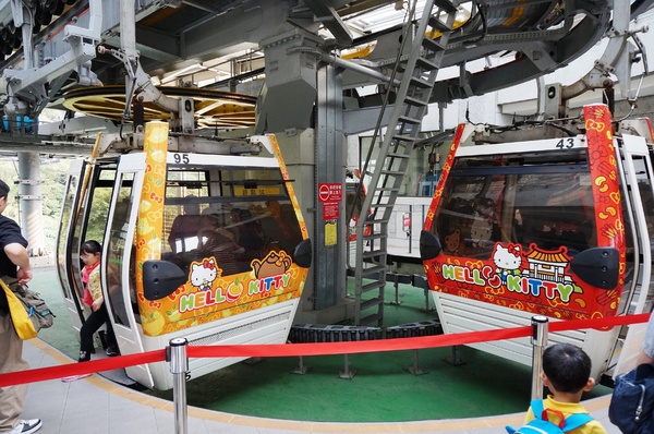 貓空樟樹步道:貓空樟樹步道 - 魯冰花的季節