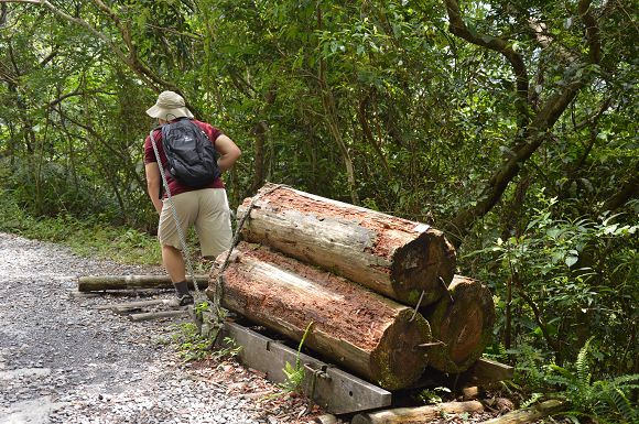 林美石磐步道11