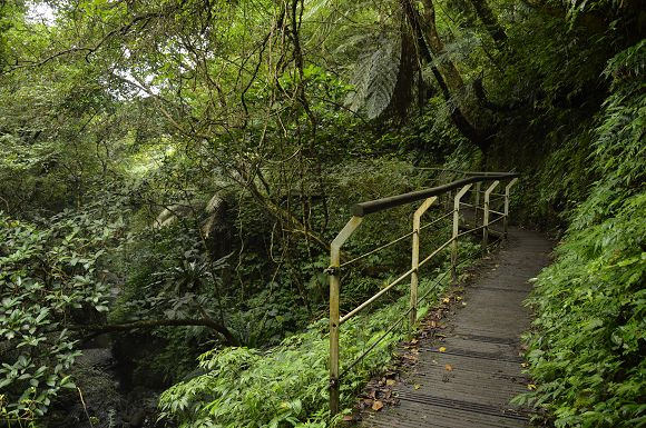 林美石磐步道16