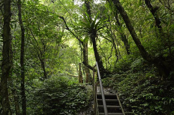 林美石磐步道35