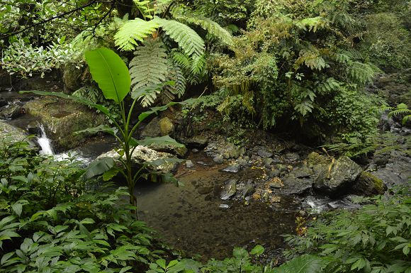 林美石磐步道20