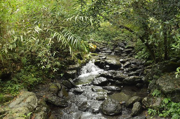 林美石磐步道40