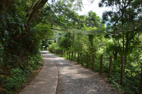 林美石磐步道03