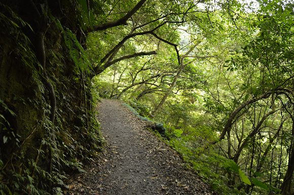 林美石磐步道12