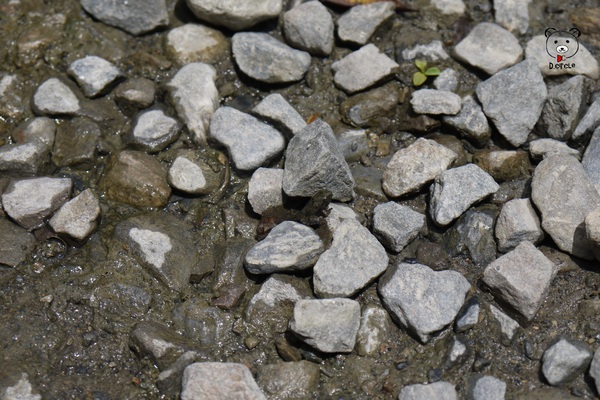 宜蘭~林美石磐步道：宜蘭●礁溪-林美石磐步道~夏日必去的踏青消暑景點!!