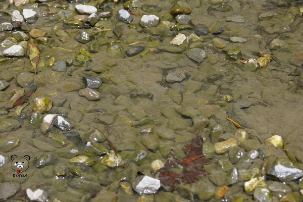 宜蘭~林美石磐步道：宜蘭●礁溪-林美石磐步道~夏日必去的踏青消暑景點!!